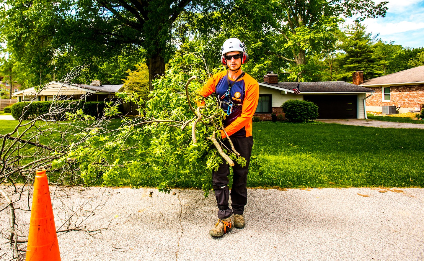 Lawn and Tree Care Careers in Louisville Limbwalker